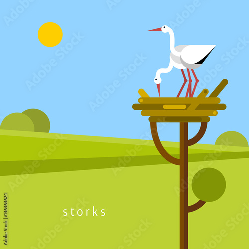 Two storks in the nest. Vector flat illustration.