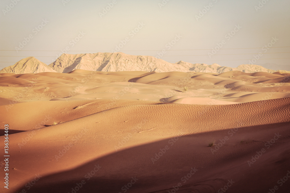 Dubai desert pictures