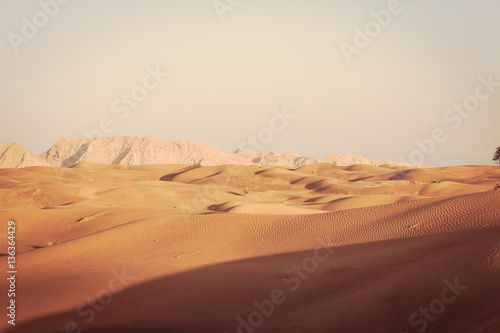 Dubai desert pictures