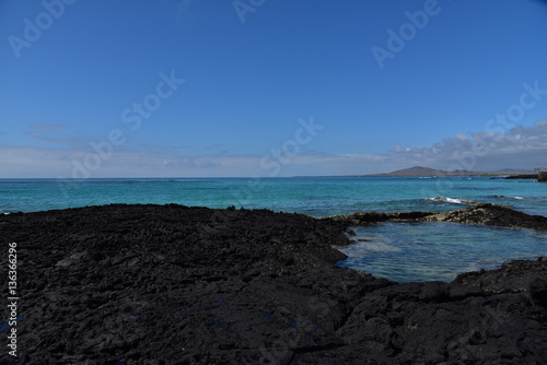 Galapagos wonder