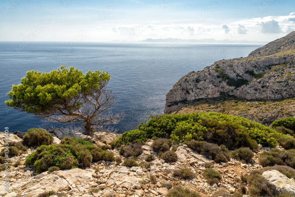 Steilküste auf Mallorca Steilküste auf Mallorca