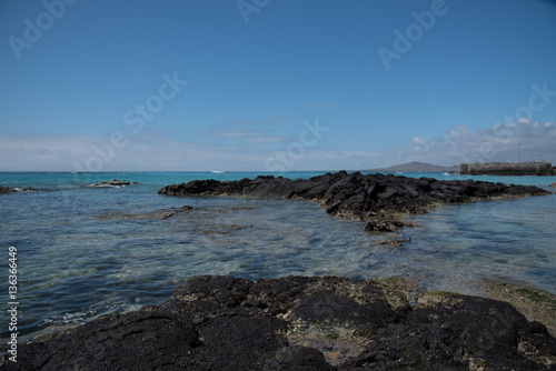 Galapagos wonder