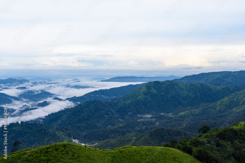 View point of View point of