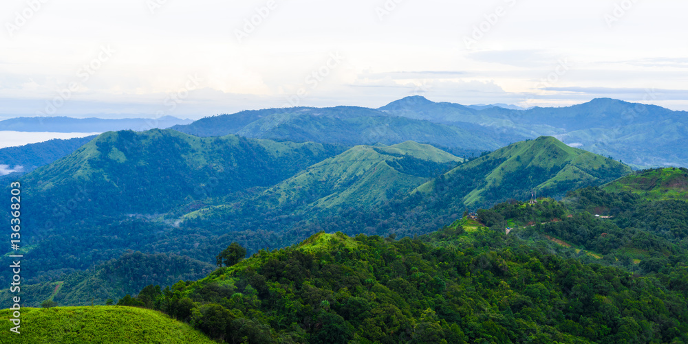 View point of View point of