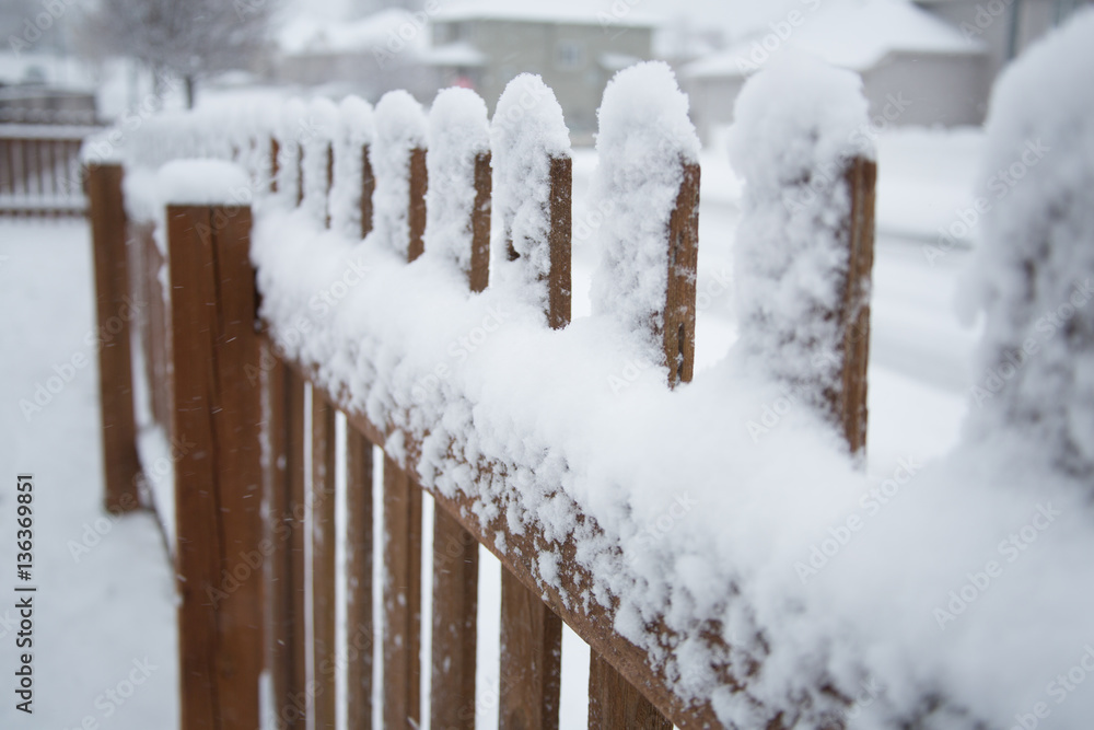 Snowy fence Snowy fence