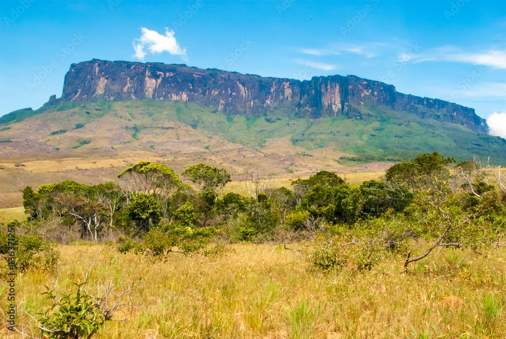 Tepui gran store