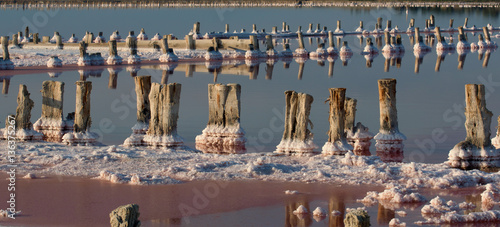 Salt Lake with protruding wooden posts. Abandoned salt productio