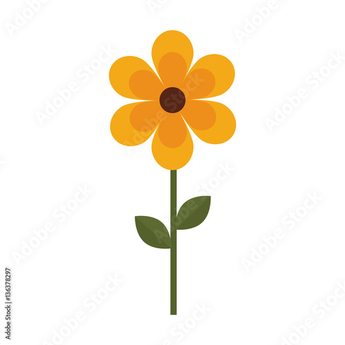 cute garden flower icon vector illustration design
