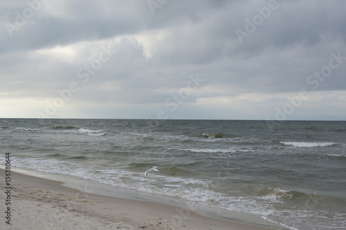 beach by the sea on a cloudy day