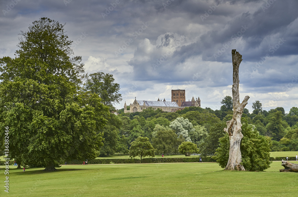 St Albans Cathedral from Verulam Park in summer
