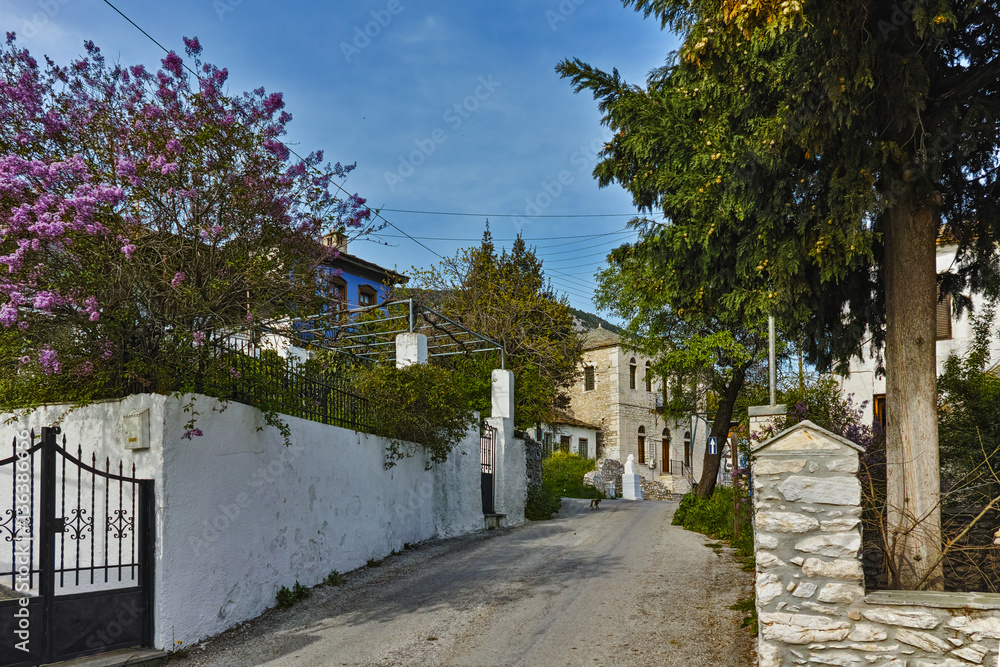 Street in the village of Theologos,Thassos island, East Macedonia and Thrace, Greece  