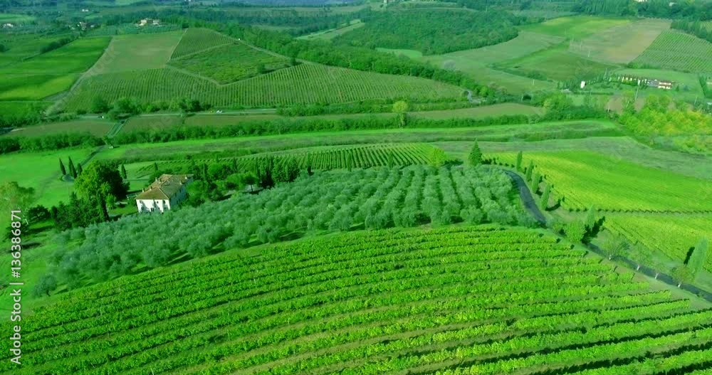 Aerial view of italian vineyard, Toscana landscape and a house. Aerial view of italian vineyard, Toscana landscape and a house.