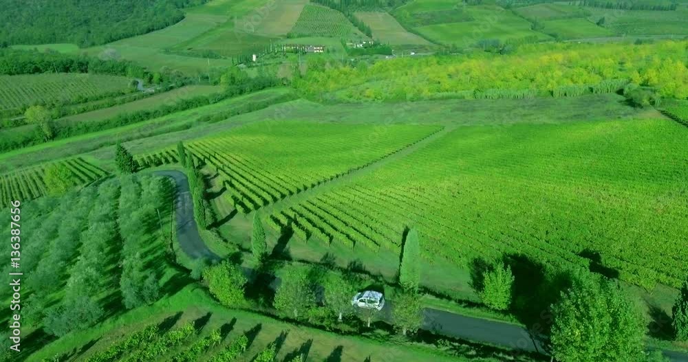 Flight over vineyard rows in Toscana to green hills. A small white car drives down the road. Flight over vineyard rows in Toscana to green hills. A small white car drives down the road.