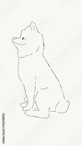 hand draw sketch doodle pom...