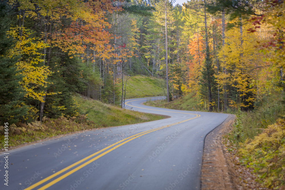 Fototapeta premium Curvey Road