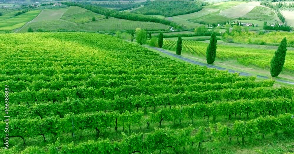 Aerial shot of flying up above vineyard rows in Tuscany, Italy. Aerial shot of flying up above vineyard rows in Tuscany, Italy.