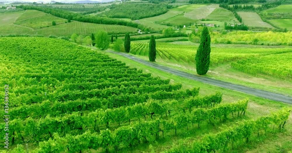 Flying towards to scenery Tuscany vew above vineyard rows. Aerial shot. Flying towards to scenery Tuscany vew above vineyard rows. Aerial shot.