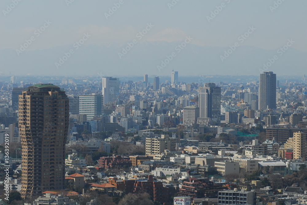 Tokyo iron tower