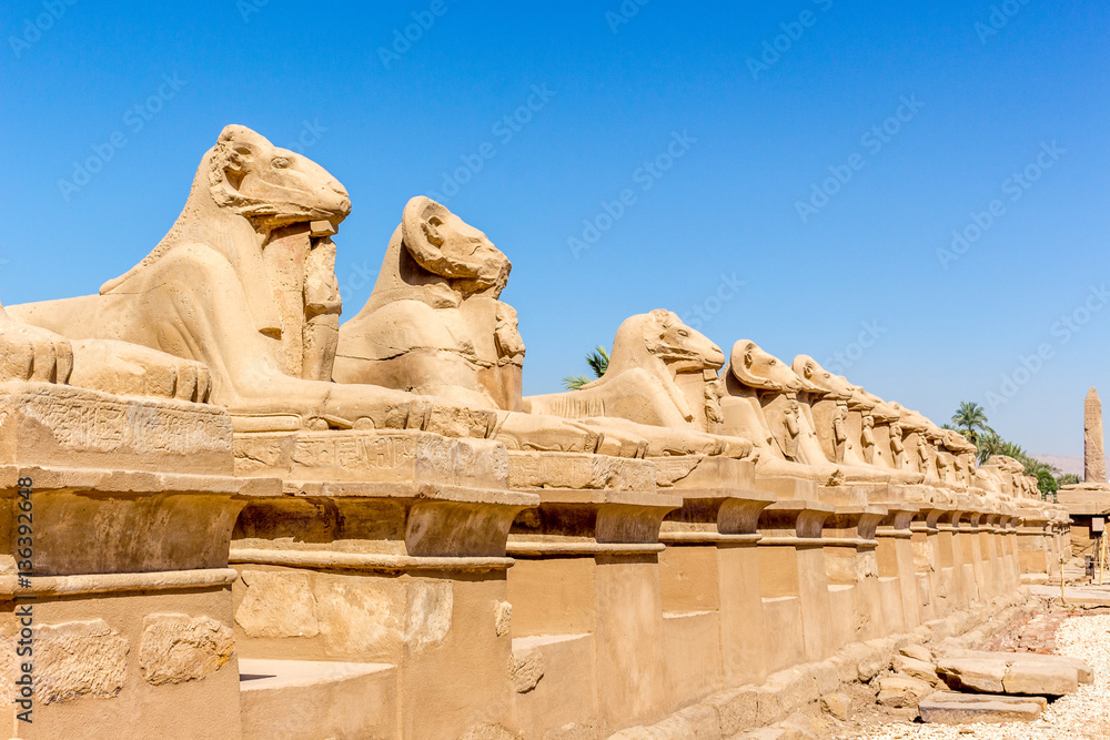 Naklejka premium Ägypten Luxor Sphinx