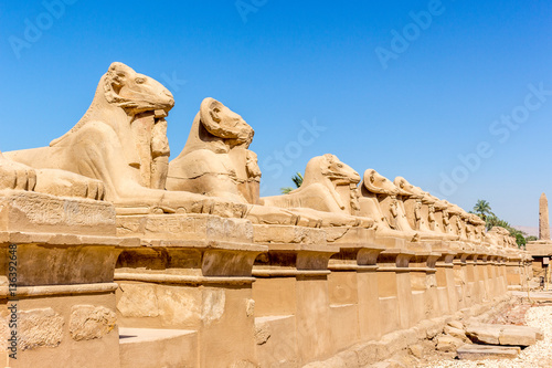 Ägypten Luxor Sphinx