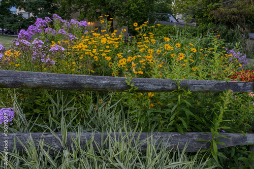 Perennial garden near a fence. 