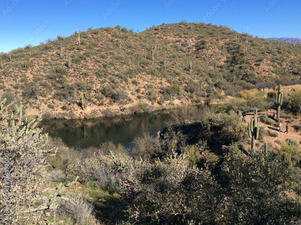 Desert mountain and lake with cactus