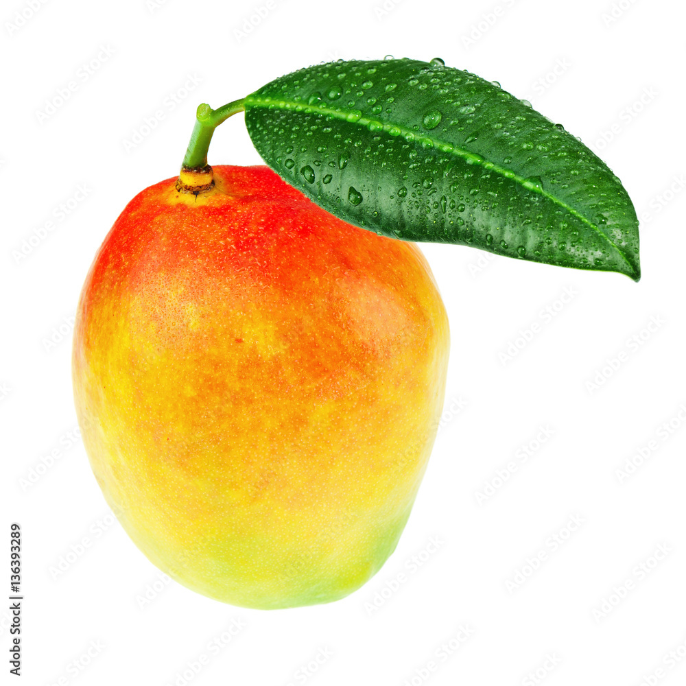 Fresh mango fruit with green leaves isolated on white background. Closeup. Fresh mango fruit with green leaves isolated on white background. Closeup.