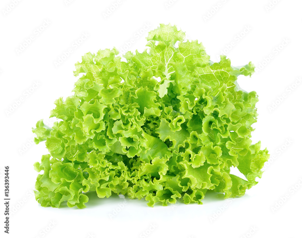 Lettuce isolated on white background Lettuce isolated on white background
