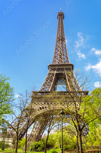 Paris  Eiffel tower on a bright day in Spring