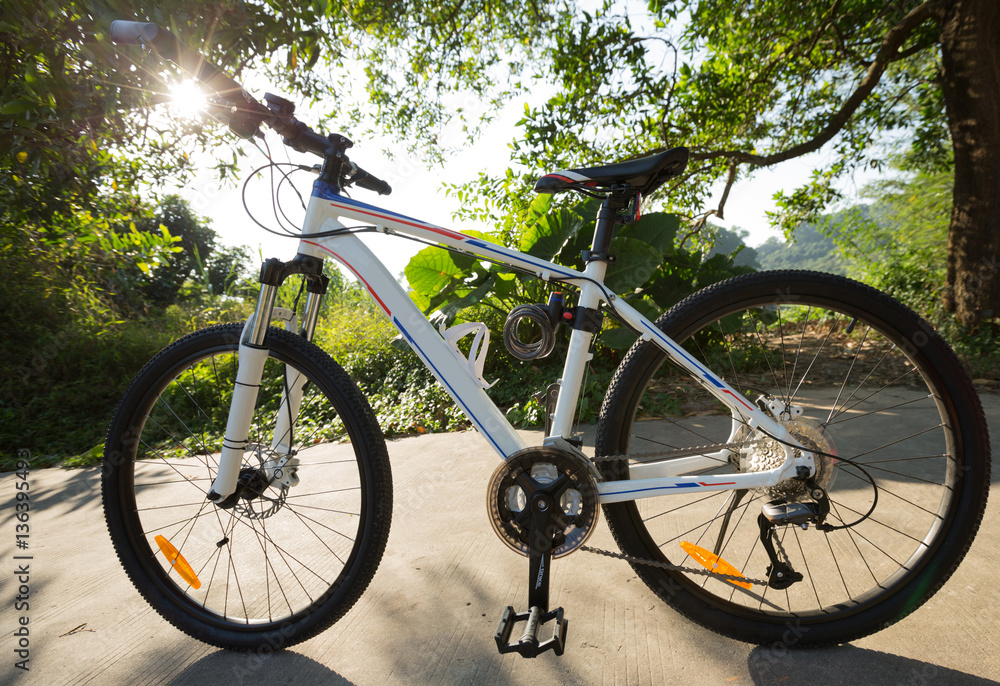 Fototapeta premium riding bike on sunny forest trail