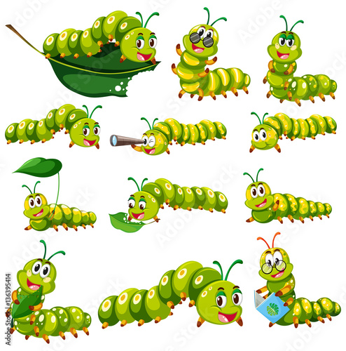Green caterpillar character in different actions photo