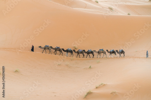 caravan in the desert.
