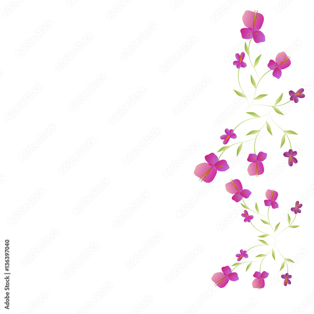 beautiful flowers beautiful flowers