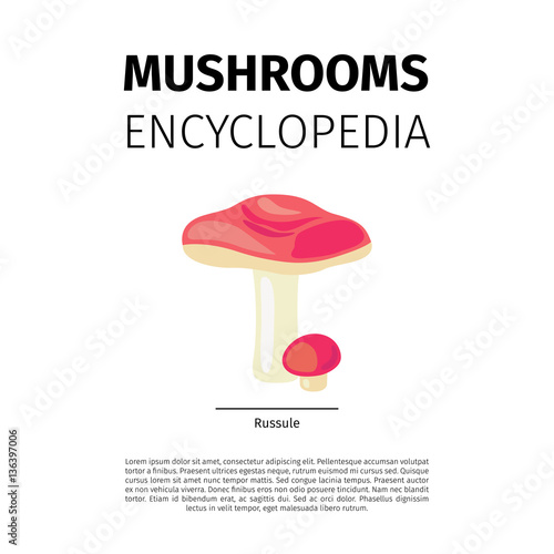 Mushrooms Encyclopedia vector design. Russule fungi illustration on wjite background