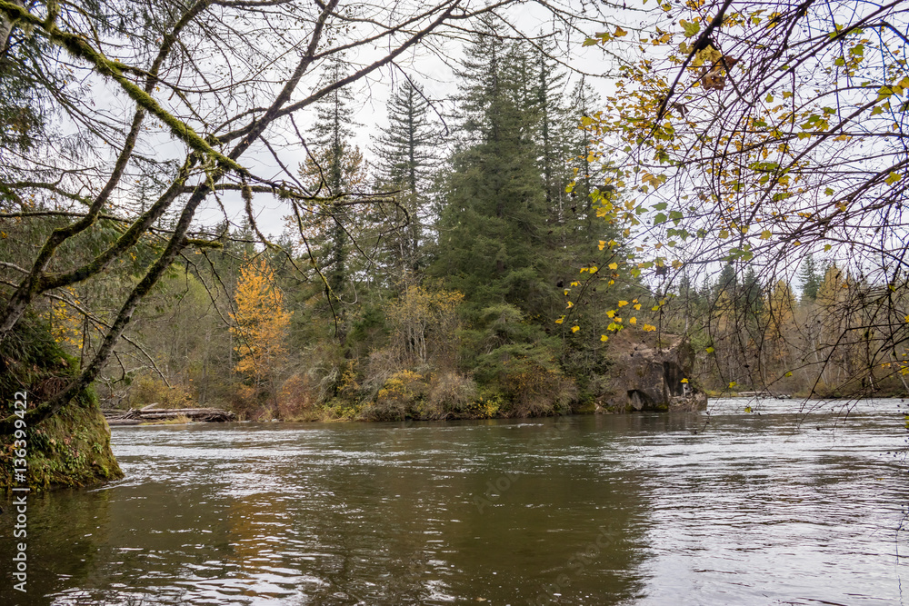 forested river banks forested river banks