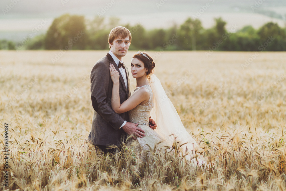 Loves couple in wheat field in sunlight. Romantic feelings at sunset Loves couple in wheat field in sunlight. Romantic feelings at sunset