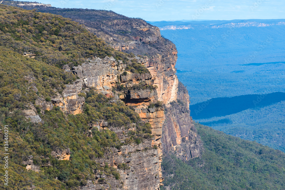 Blue mountains landscape of mountains and eucalyptus forest