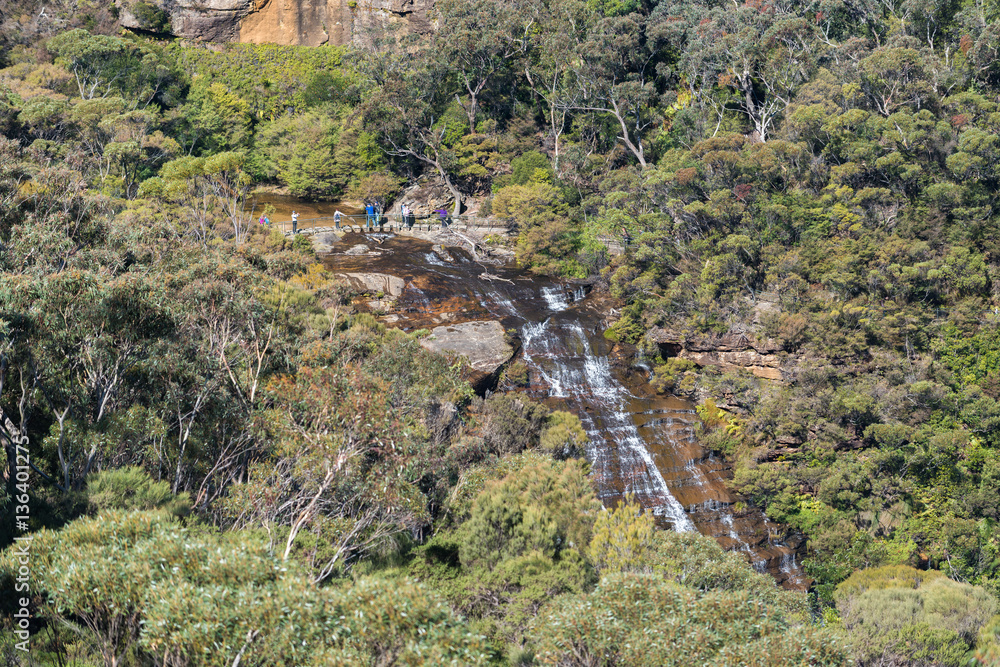 Blue mountains landscape of eucalyptus forest and Wentworth Fall