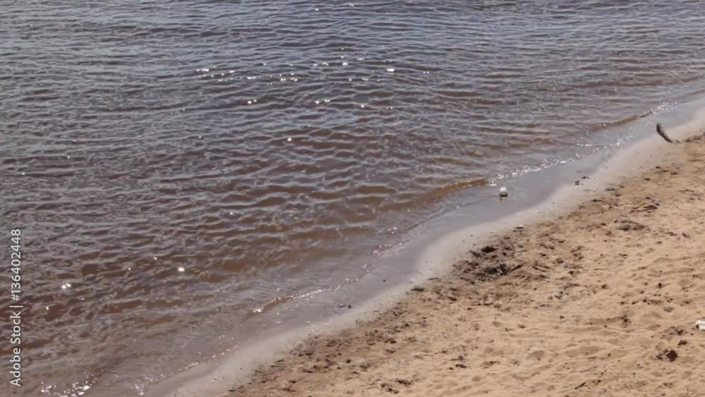 Water of river with highlights and yellow sand at summer day Water of river with highlights and yellow sand at summer day