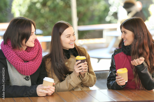 Cheerful young women drinki...
