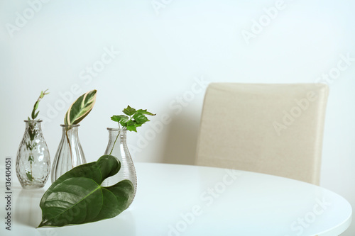 Glass vases with green leaves on white table
