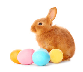 Cute red rabbit with Easter eggs  on white background