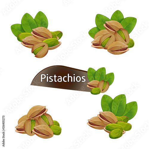 Pistachios kernel in nutshell with green leaves set isolated on white background vector illustration. Organic food ingredient, traditional snack. Pistachios nut seed whole and shelled collection.