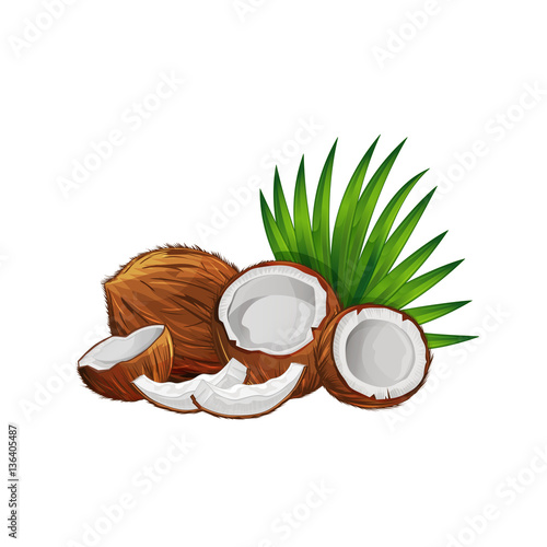 Coconut with half and green palm leaves set isolated on white background vector illustration. Organic food ingredient, natural tropical product. Coconut fruit with green palm leaves collection.