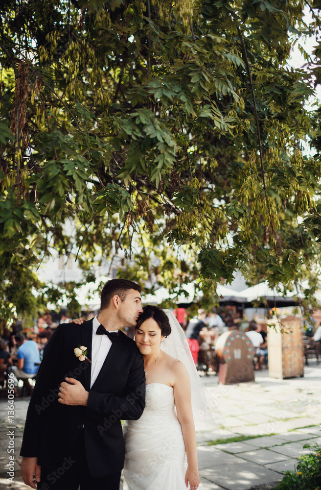 Groom kisses his bride under the tree Groom kisses his bride under the tree