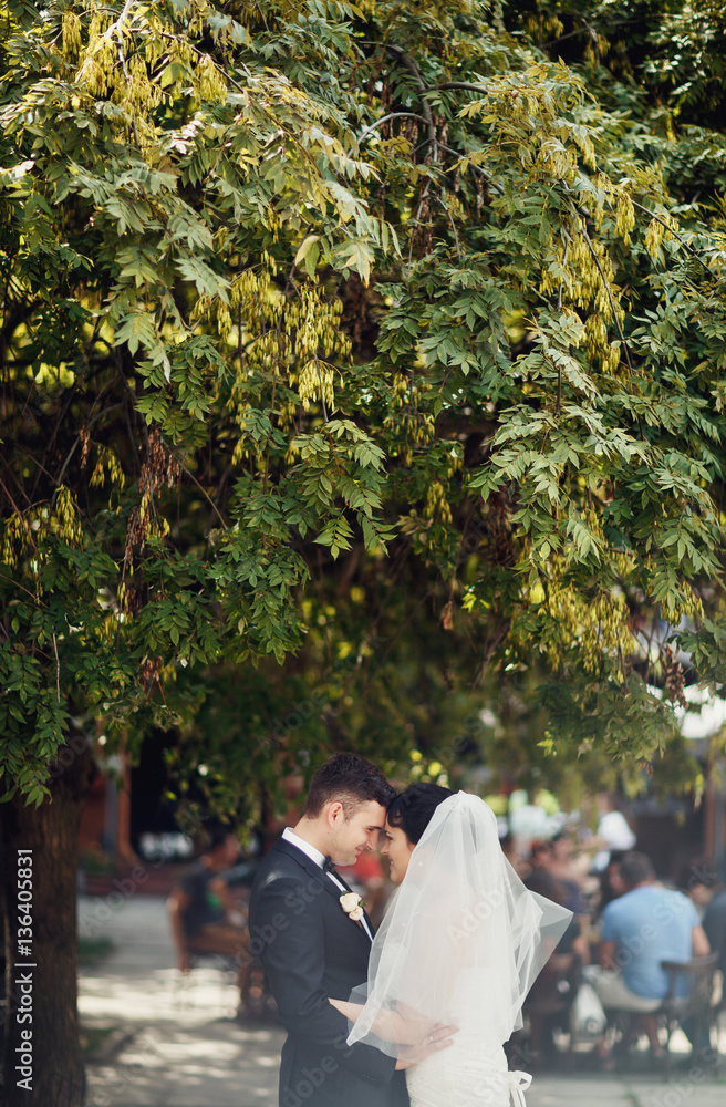 Fototapeta premium Romantic newlyweds under the green tree