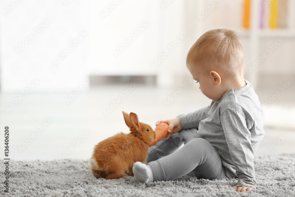 Obraz premium Cute little boy feeding rabbit with carrot while sitting on floor at home