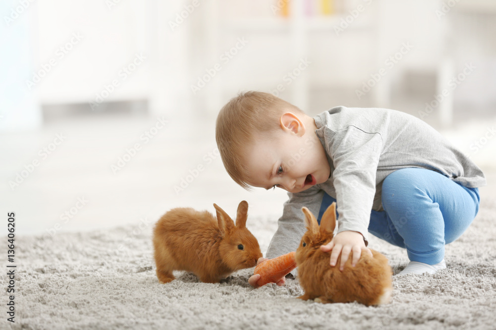 Naklejka premium Cute little boy feeding rabbits with carrot at home