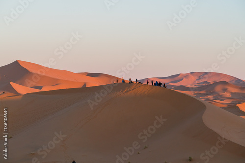 group of tourist observer sand desert 