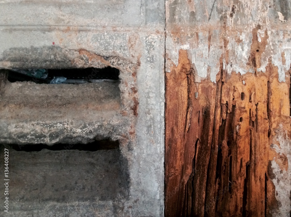 wood decay wood decay